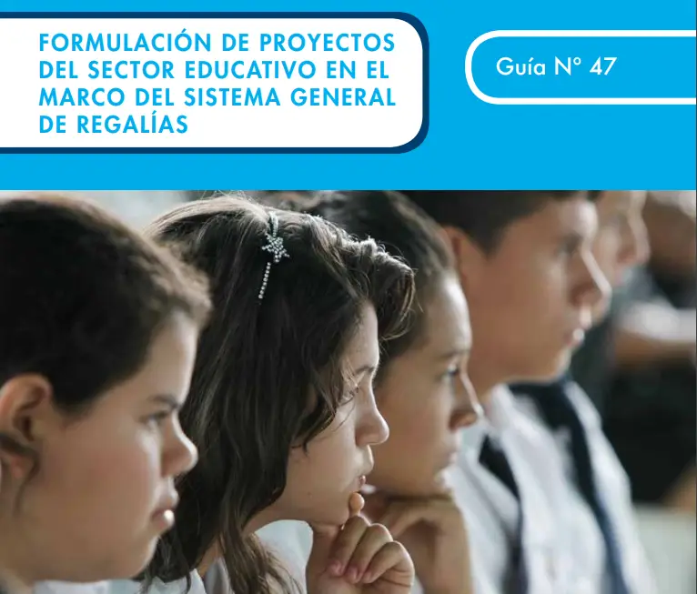 formulación de proyectos